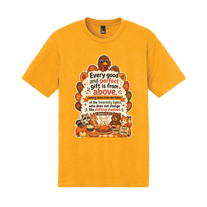 Thankgiving James 1:17 Tri-Blend Shirt