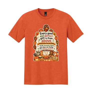 Thankgiving James 1:17 Tri-Blend Shirt