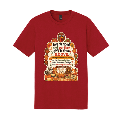 Thankgiving James 1:17 Tri-Blend Shirt